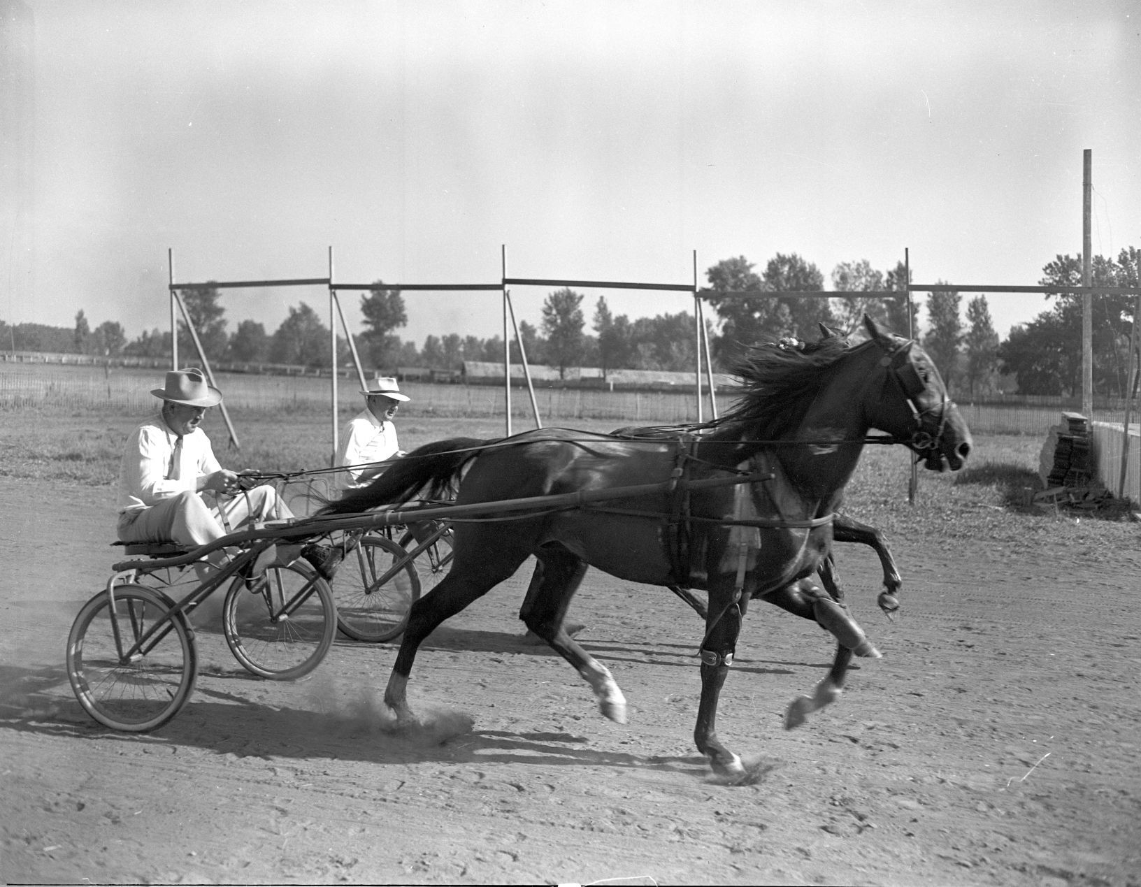 Wolfe and Phalen horse race
